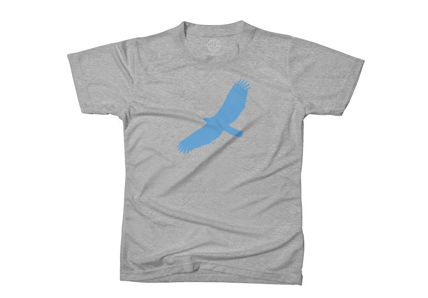 Manchester City T-shirt (grey) by AOS