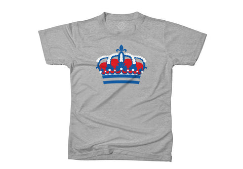 Reading T-shirt (grey) by AOS