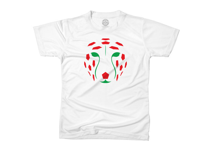 Iran T-shirt by AOS