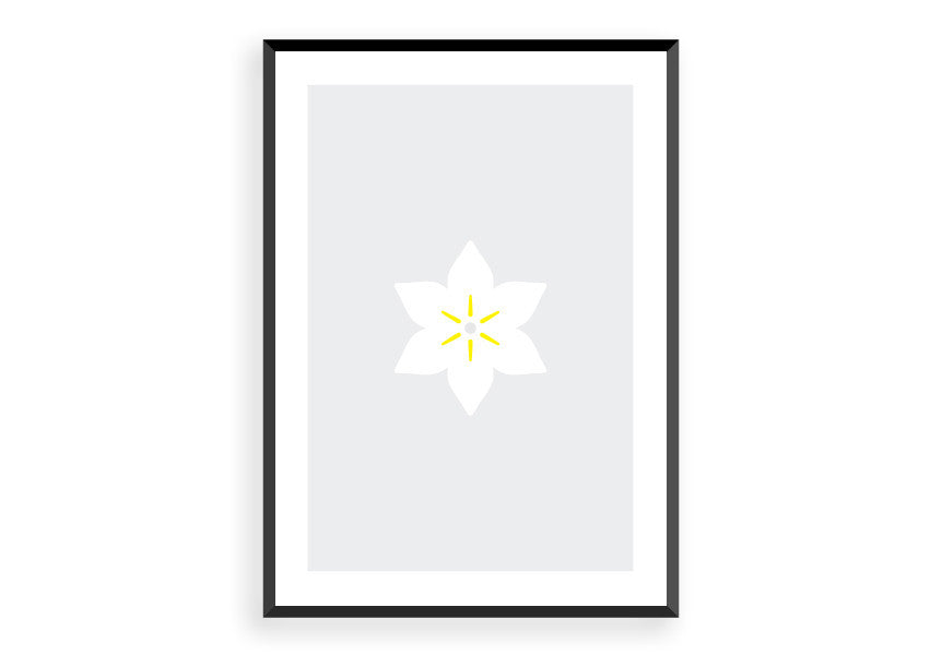 Tottenham Hotspur (1)