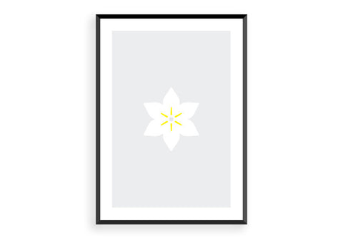 Tottenham Hotspur (1)